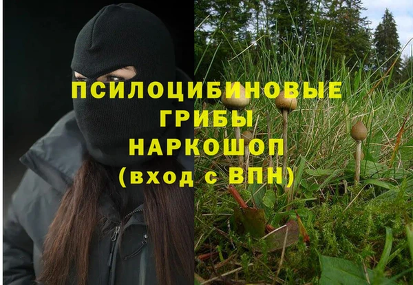 винт Покачи